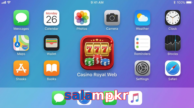 Payment and PKR controls in Salampkr